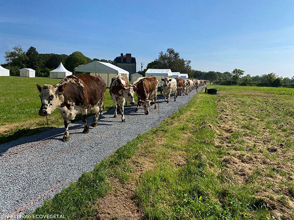 FERME EXPÉRIMENTALE DE LA BLANCHE-MAISON