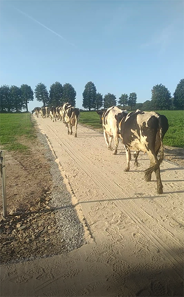 GAEC DE LA MÉTAIRIE NEUVE - PLELAN-LE-GRAND