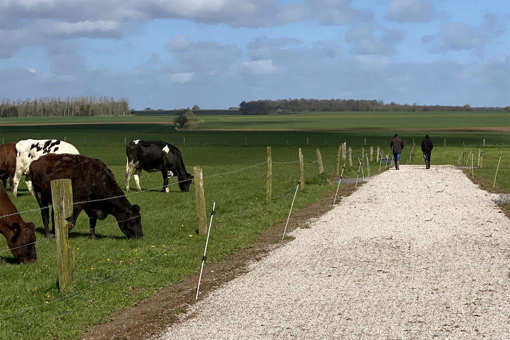 stabiliser sol boueux agriculture