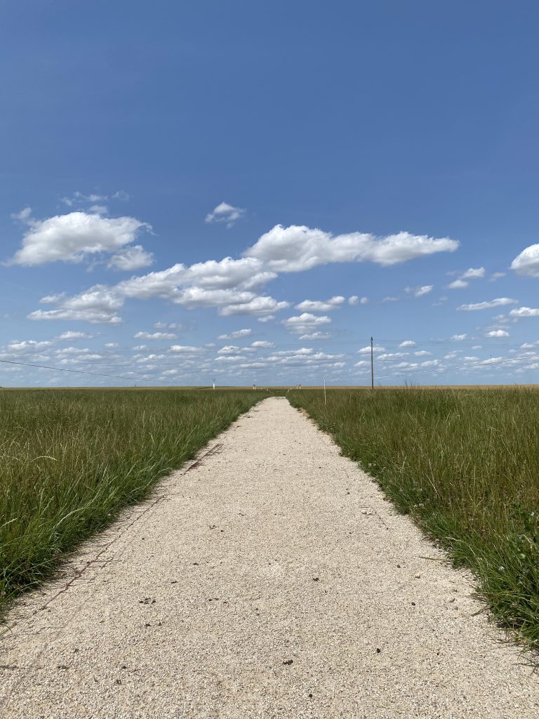 réfection d'un chemin de terre agricole