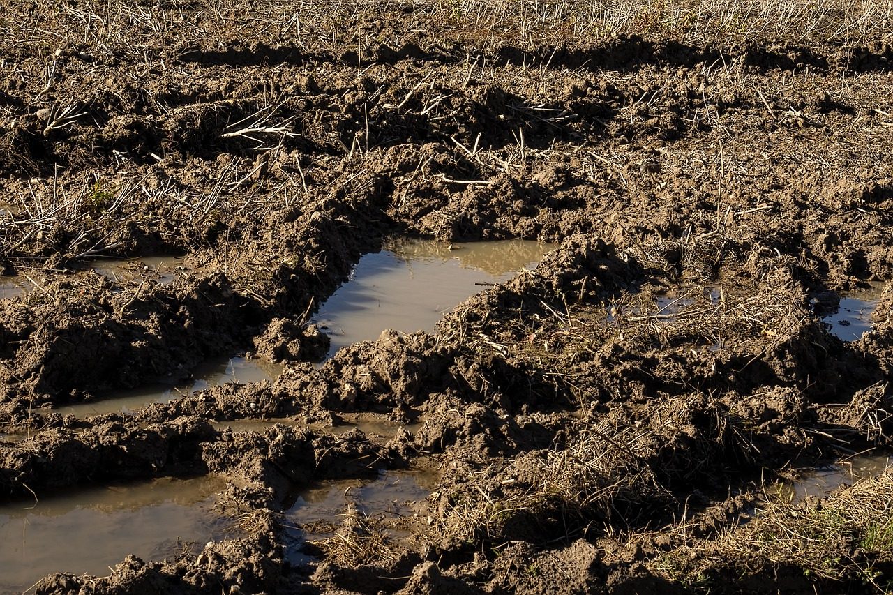 Quelles techniques pour la stabilisation des sols agricoles — free download