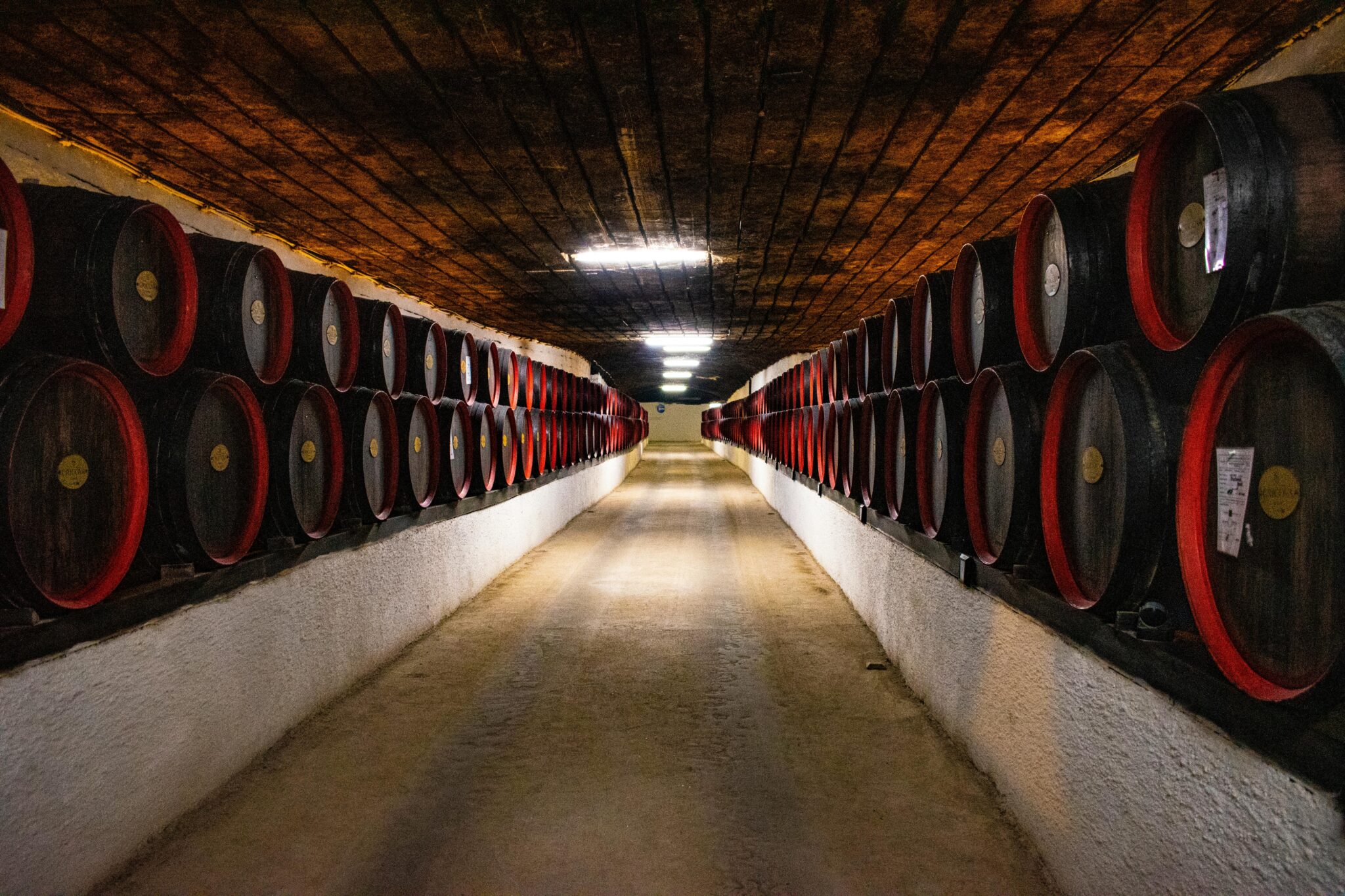 Sol de cave humide chaux, béton ou dalle de sol ? ECOVEGETAL SOLS AGRICOLES